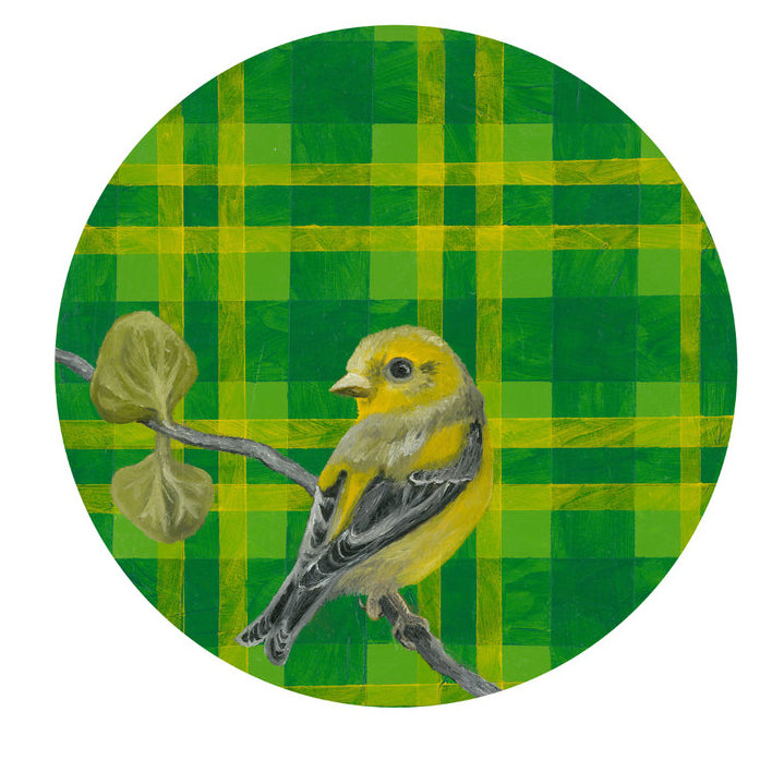 Matted Gold Finch Print