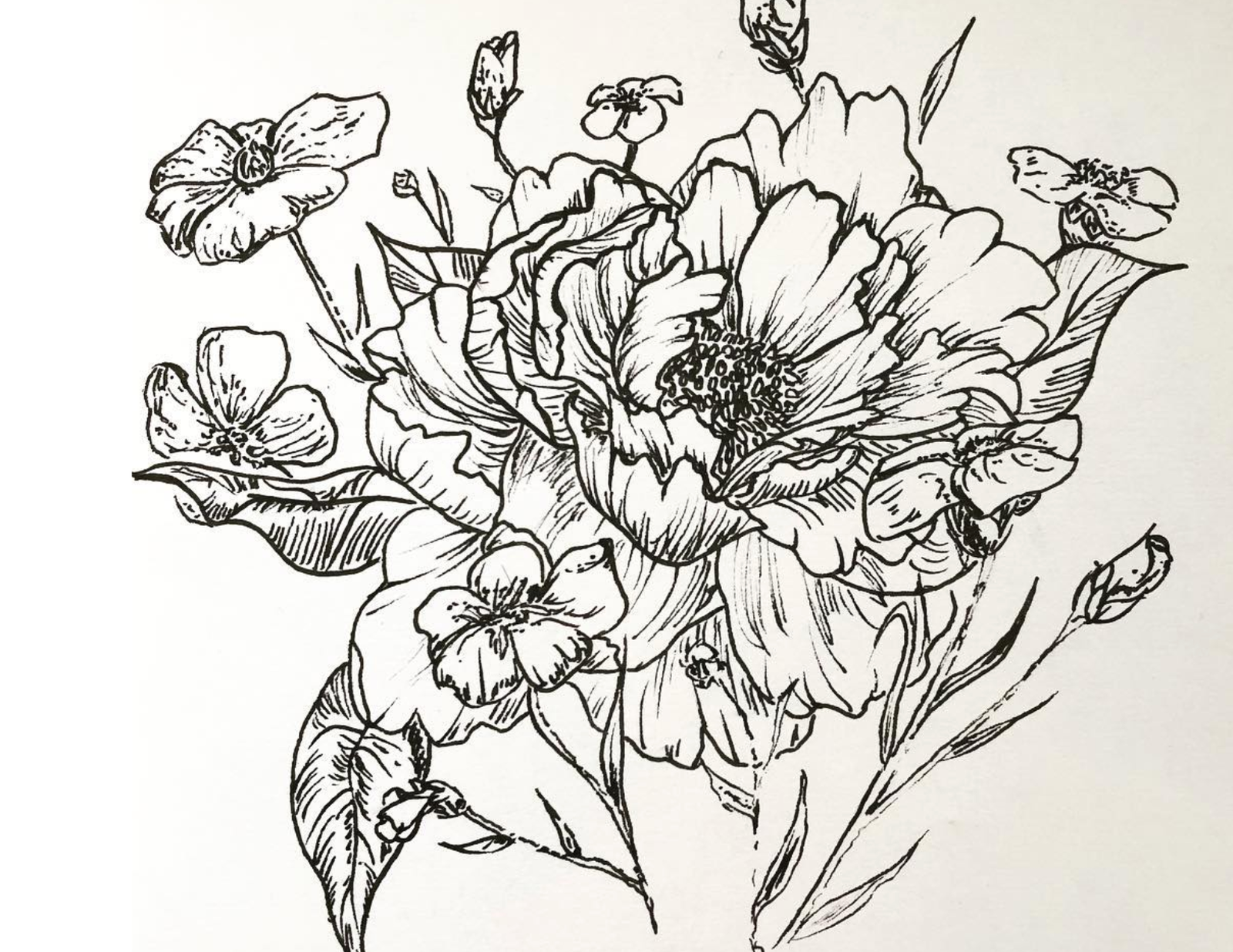 Floral Line Art Design in Procreate Art Class Sat. 6.13.26 @ 10:30A