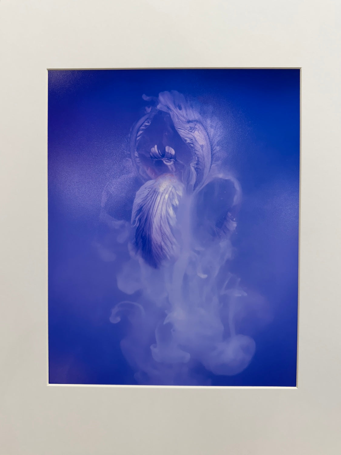 Iris submerged