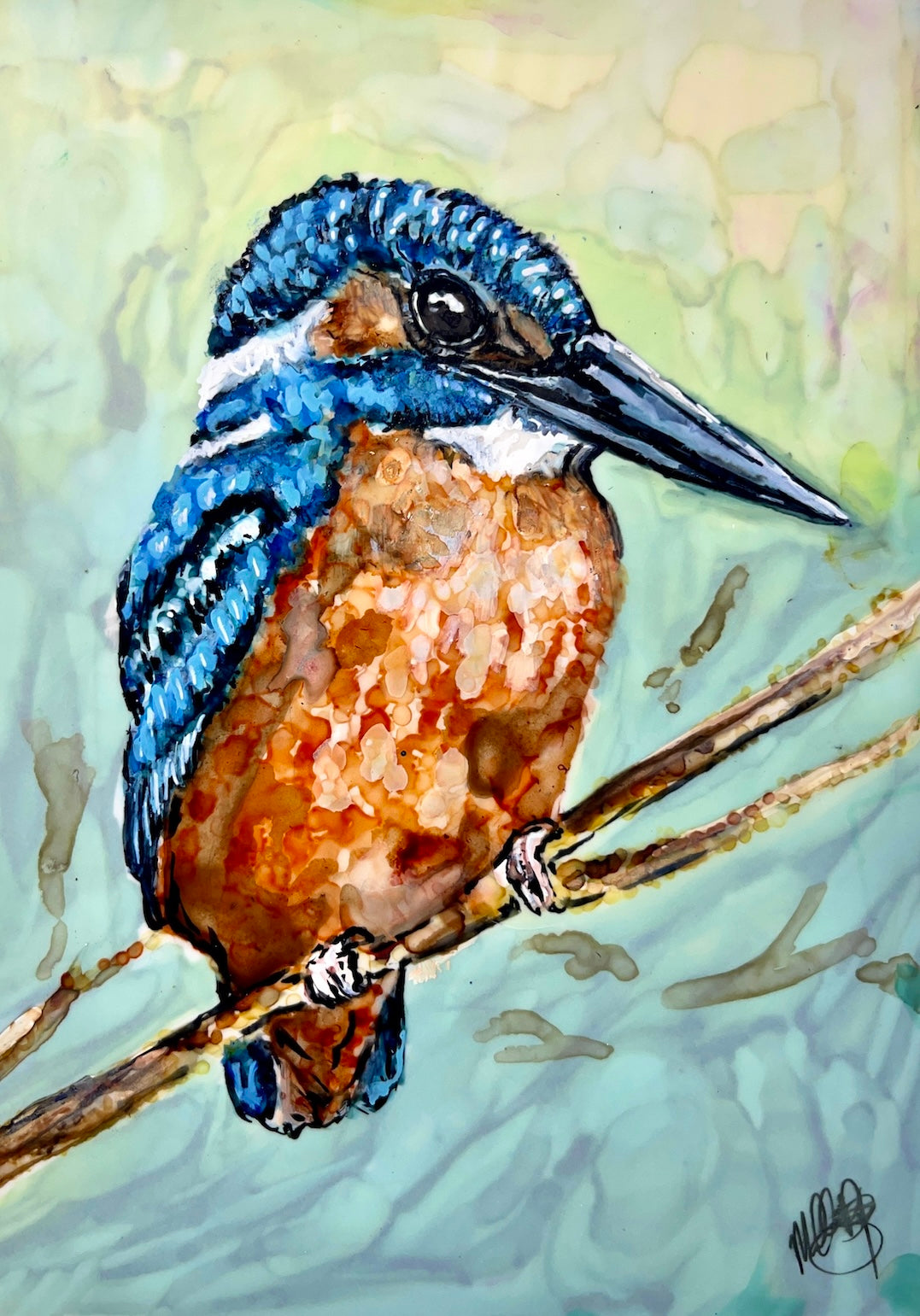 Kingfisher
