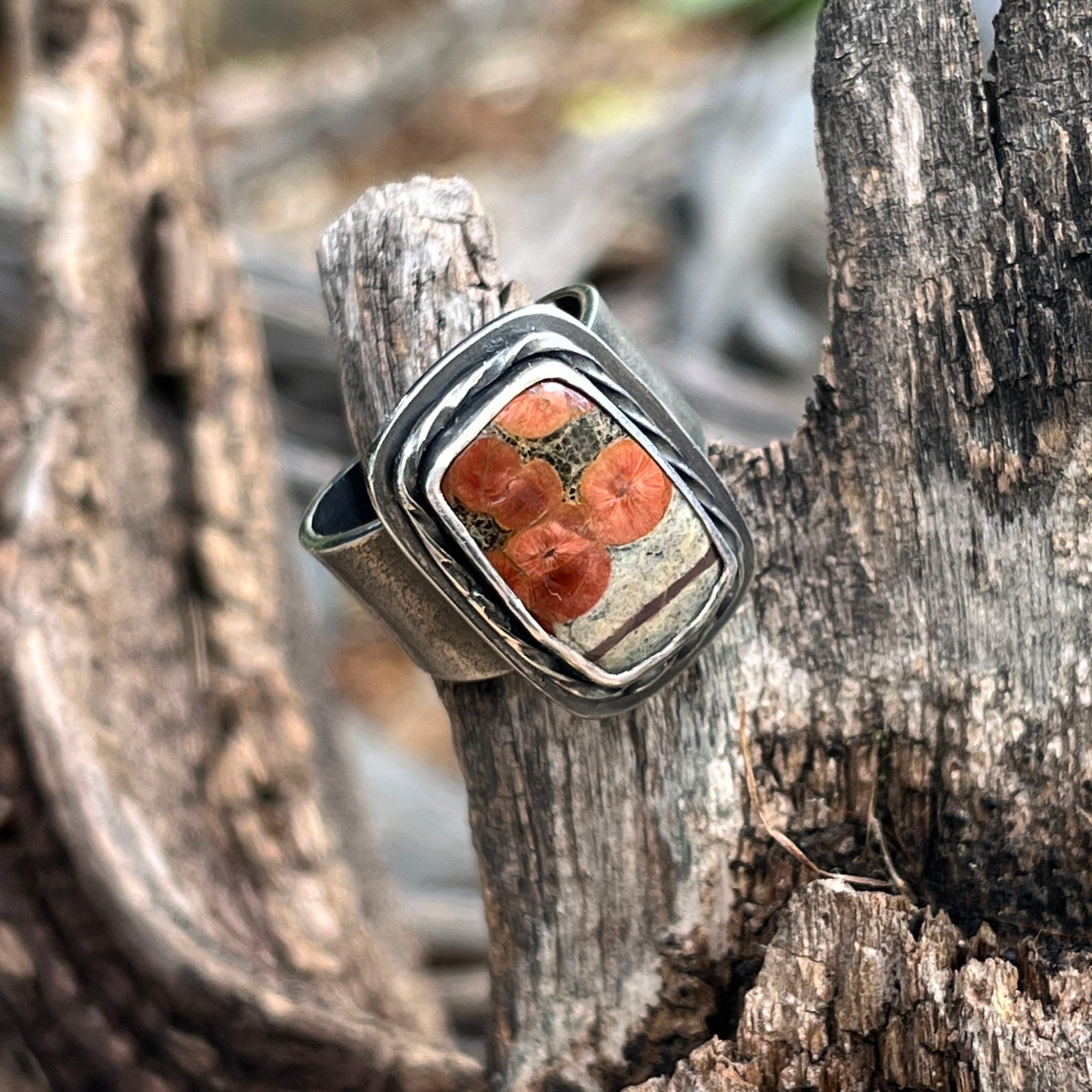 Peanut Obsidian Ring LPJ20--Website Exclusive