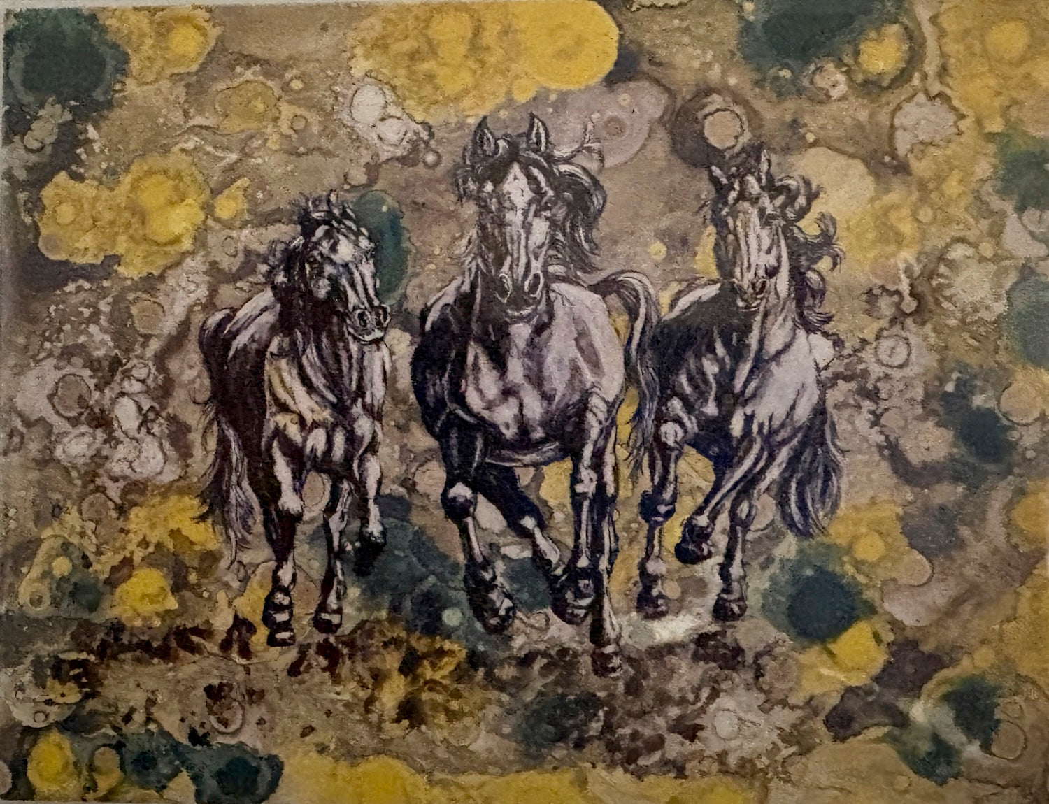 Card 3 Pack-Molly Box