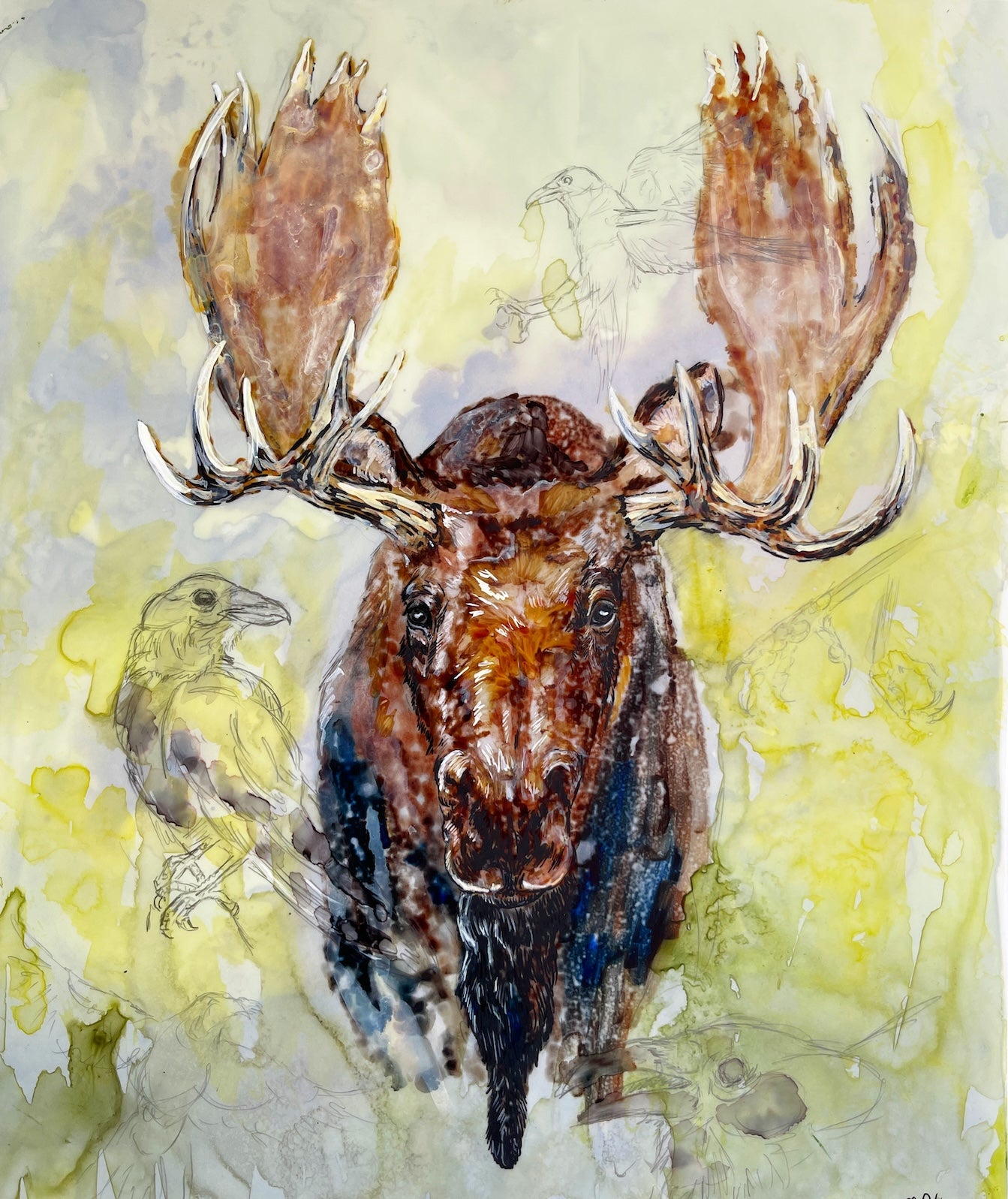 Moose and Ravens-prints-now