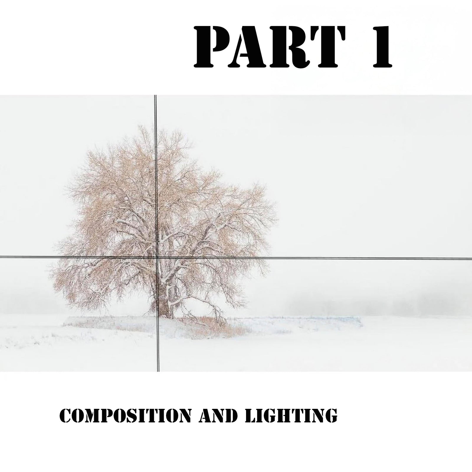 Intro To Digital Photography: PART 1 COMPOSITION & LIGHT Art Class - Sat. 5.16.26 @ 10:30A