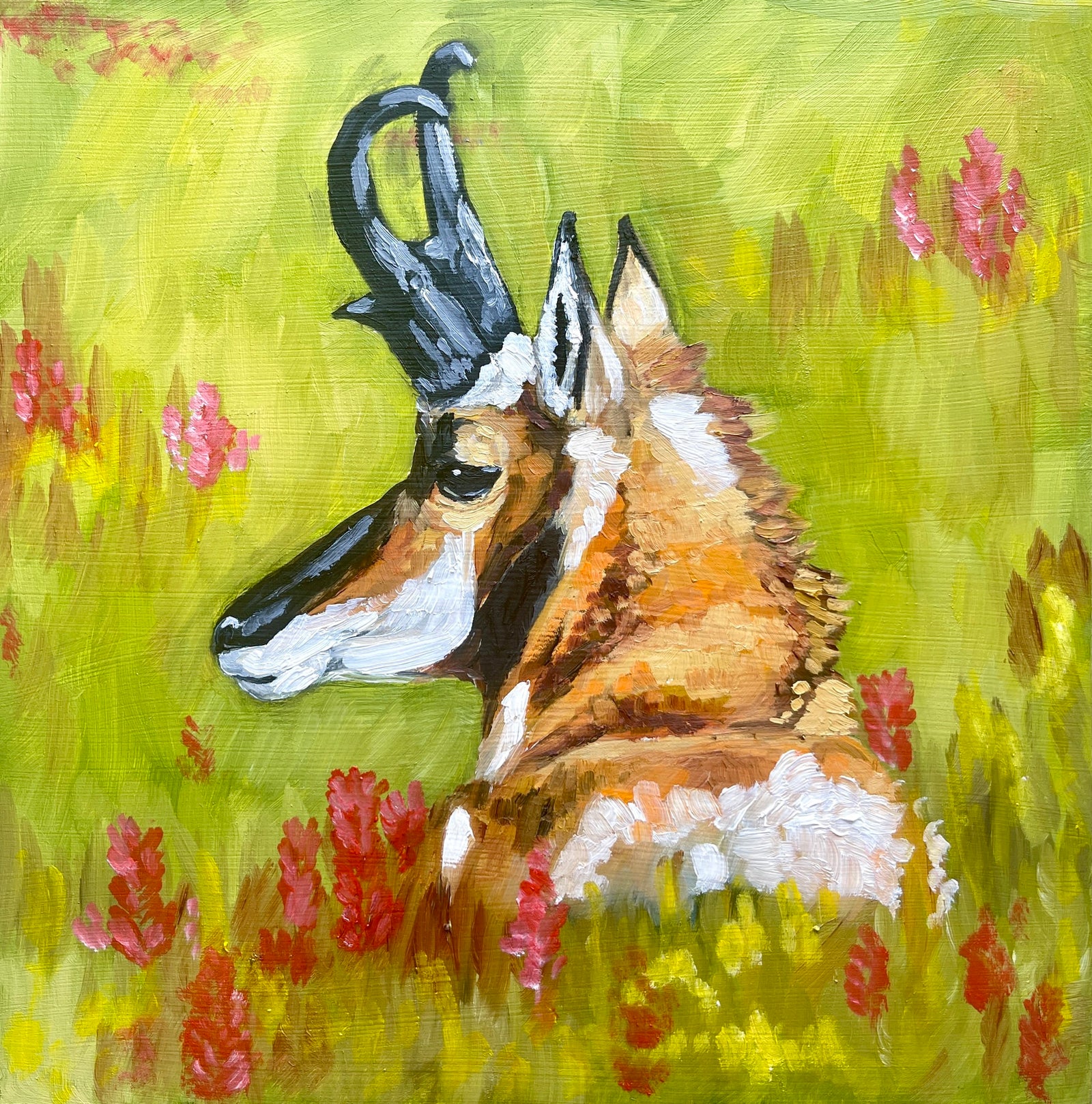 Pronghorn in Wildflowers-prints-now