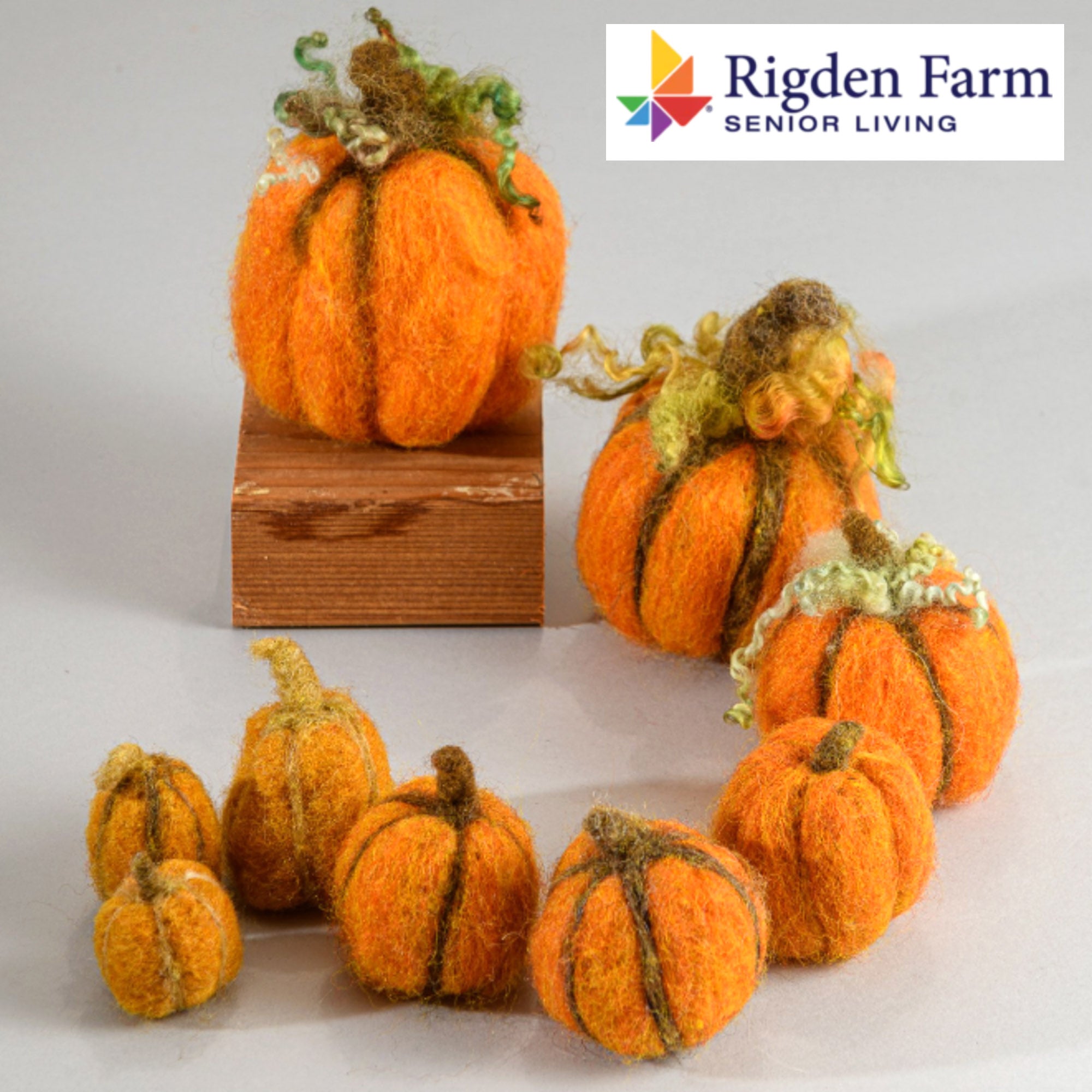 Needle Felted Pumpkins Art Class at Rigden Farms - Fri 10.4.24 @ 11AM