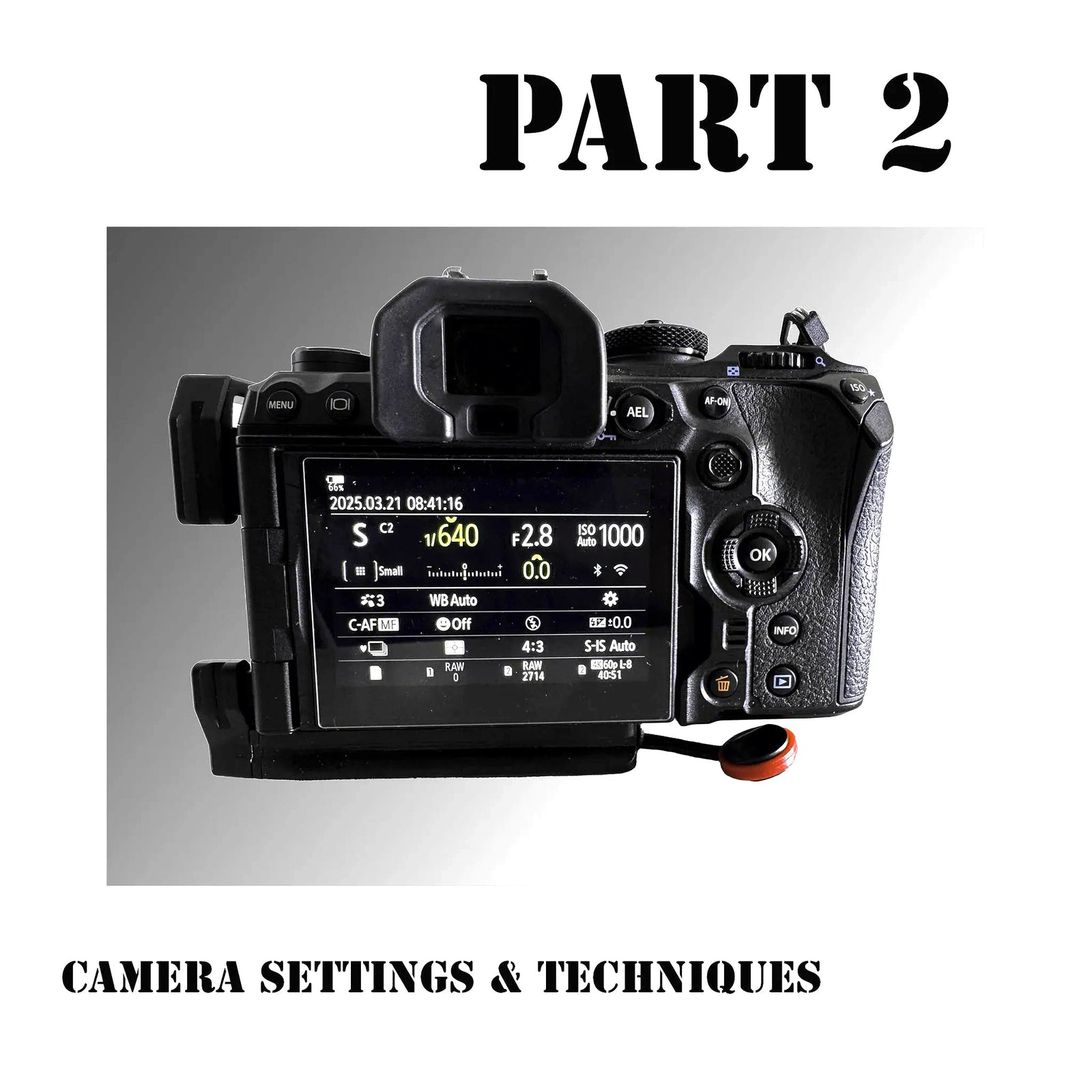 Intro To Digital Photography: PART 2 CAMERA SETTINGS Art Class - Sat. 9.19.26 @ 1:30P