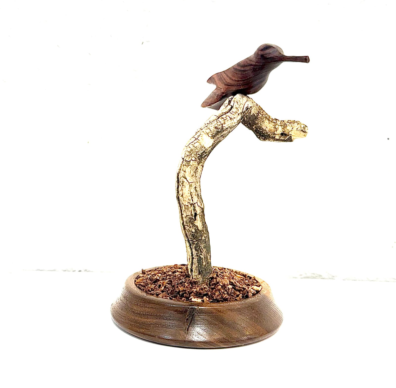 Stylized hummingbird