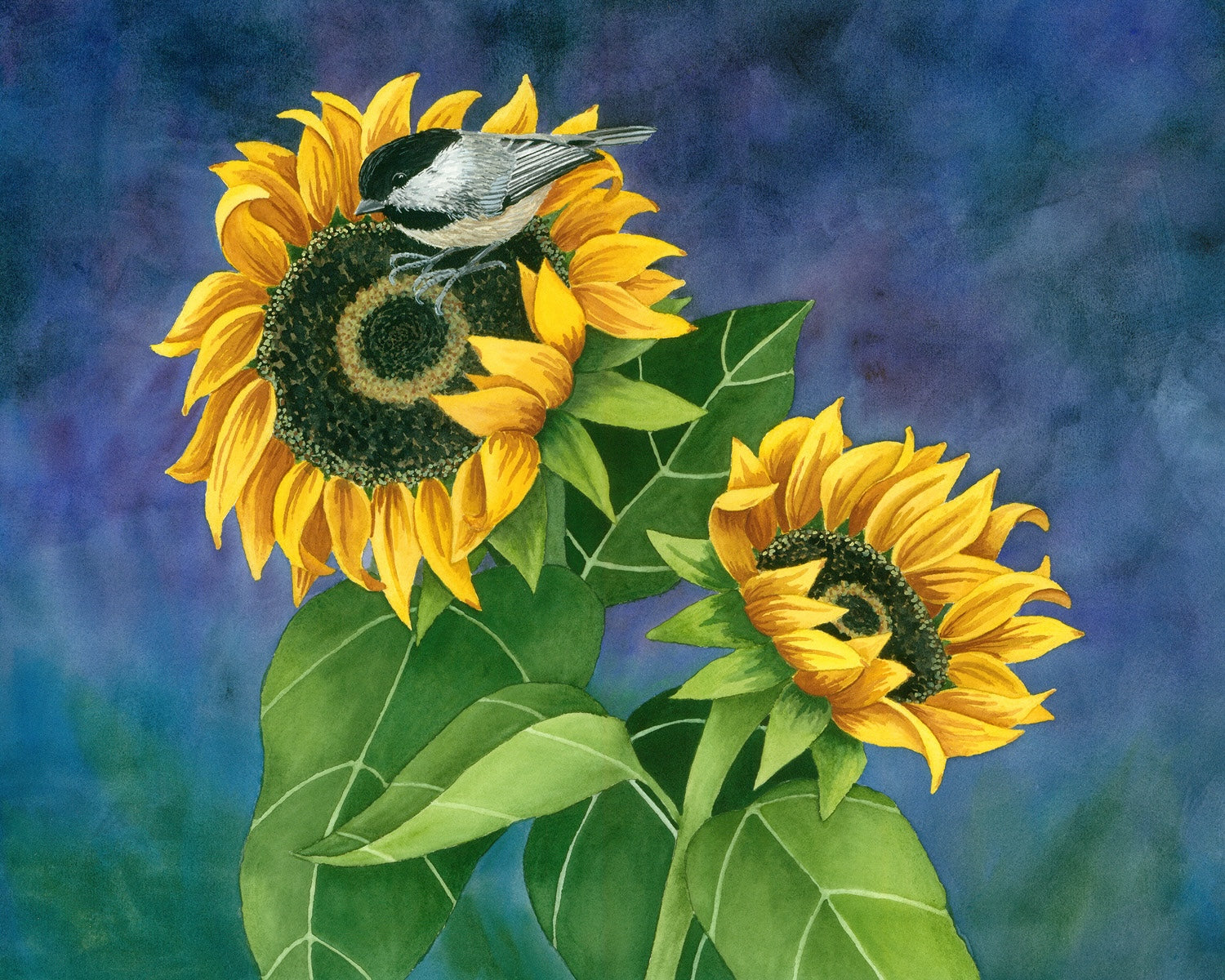Sunflower Chickadee