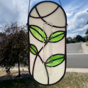 Sunlit Sprouts Propagation Station