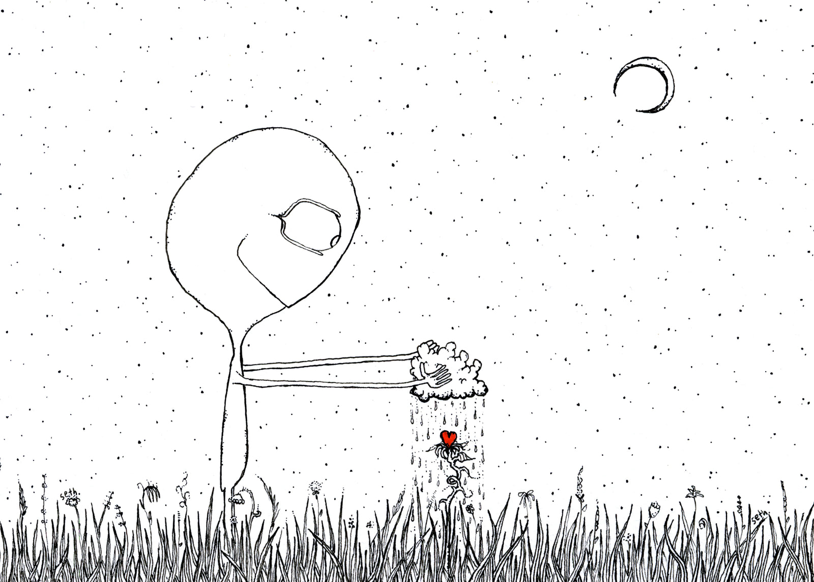 Wild garden 5x7 print